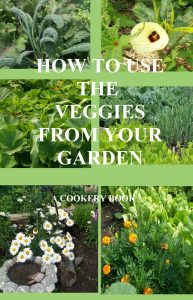 How to use the veggies from your garden